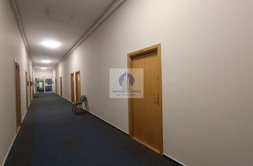 15968520 - zdjęcie ogłoszenia
