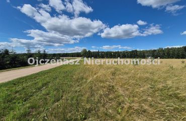 15968742 - zdjęcie ogłoszenia