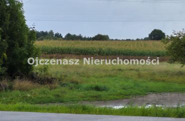 15968743 - zdjęcie ogłoszenia