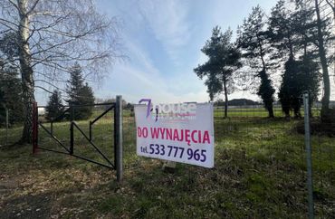 15968913 - zdjęcie ogłoszenia