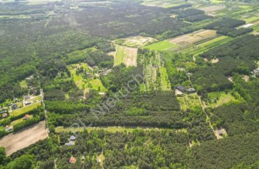 15969003 - zdjęcie ogłoszenia