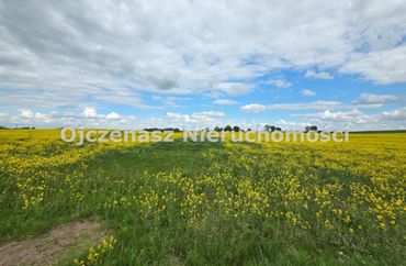 15969116 - zdjęcie ogłoszenia