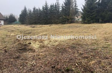 15969118 - zdjęcie ogłoszenia