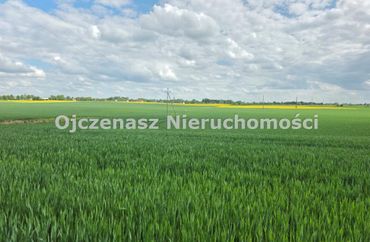 15969121 - zdjęcie ogłoszenia