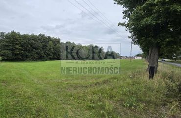 15969470 - zdjęcie ogłoszenia