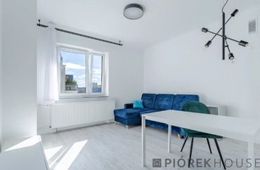 15969528 - zdjęcie ogłoszenia