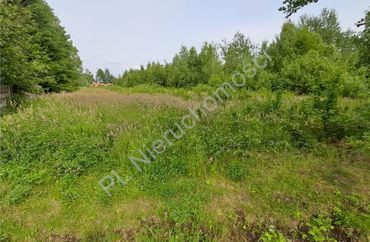 15969565 - zdjęcie ogłoszenia
