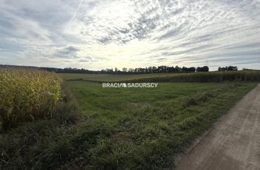 15969745 - zdjęcie ogłoszenia