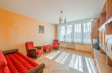 15969801 - zdjęcie ogłoszenia