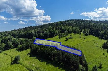 15969896 - zdjęcie ogłoszenia