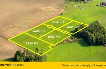 15970145 - zdjęcie ogłoszenia