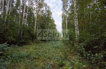 15970158 - zdjęcie ogłoszenia