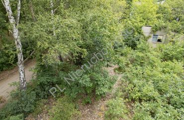 15970310 - zdjęcie ogłoszenia