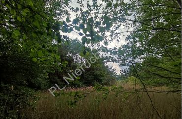 15970393 - zdjęcie ogłoszenia
