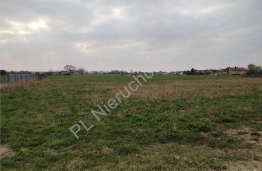 15970560 - zdjęcie ogłoszenia