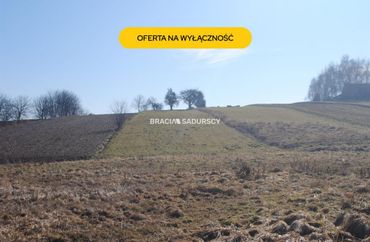 15970844 - zdjęcie ogłoszenia