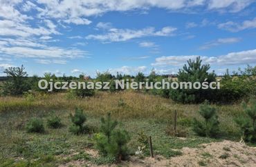 15972068 - zdjęcie ogłoszenia