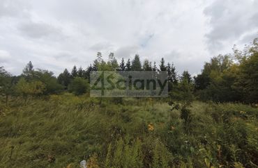 15972132 - zdjęcie ogłoszenia