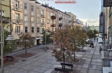 15972327 - zdjęcie ogłoszenia