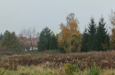 15972561 - zdjęcie ogłoszenia