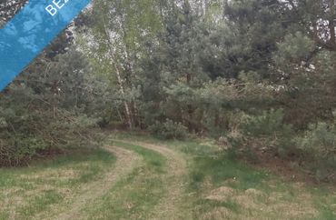 15973441 - zdjęcie ogłoszenia