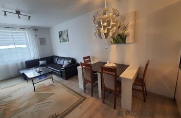 15973681 - zdjęcie ogłoszenia