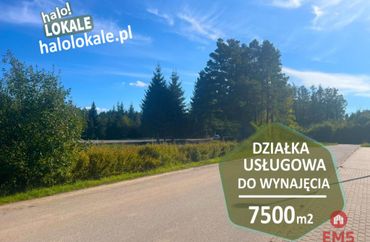 15973809 - zdjęcie ogłoszenia