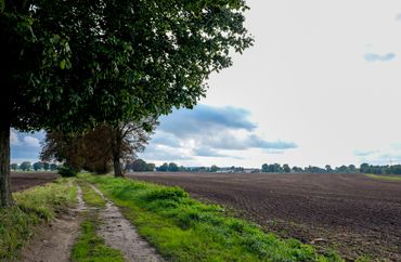 15973852 - zdjęcie ogłoszenia
