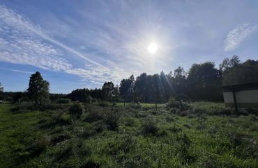 15974066 - zdjęcie ogłoszenia