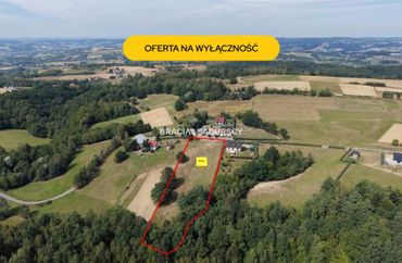 15974317 - zdjęcie ogłoszenia