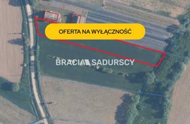 15974341 - zdjęcie ogłoszenia