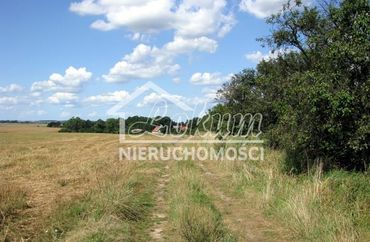 15974575 - zdjęcie ogłoszenia