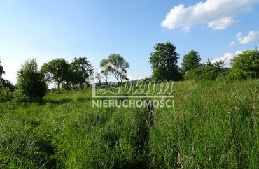 15974580 - zdjęcie ogłoszenia