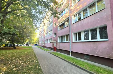 15974736 - zdjęcie ogłoszenia