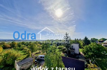 15974847 - zdjęcie ogłoszenia