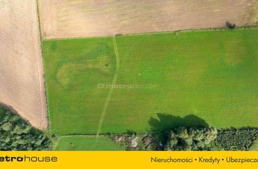 15974941 - zdjęcie ogłoszenia