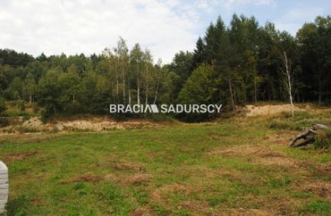 15975027 - zdjęcie ogłoszenia