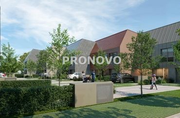 15975161 - zdjęcie ogłoszenia