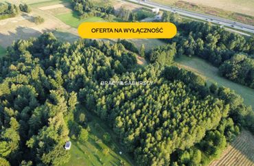 15975476 - zdjęcie ogłoszenia