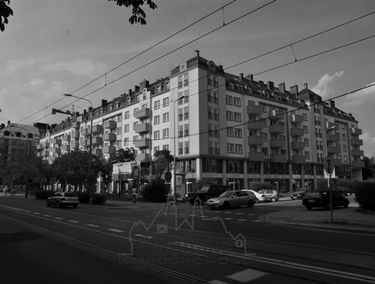Zdjęcie 1392774