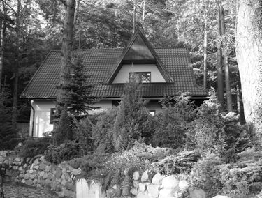 Zdjęcie 1632820