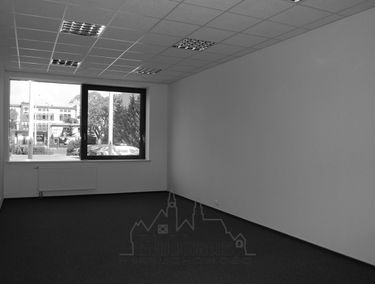 Zdjęcie 3841411