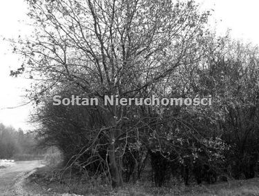 Zdjęcie 5214227