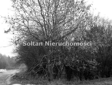 Zdjęcie 5889220