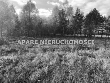Zdjęcie 5992757