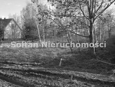Zdjęcie 5192858