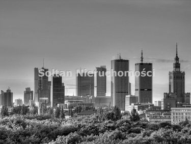 Zdjęcie 7186439