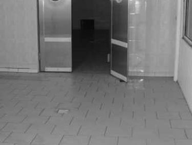 Zdjęcie 7357854