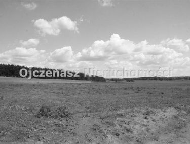 Zdjęcie 7537180