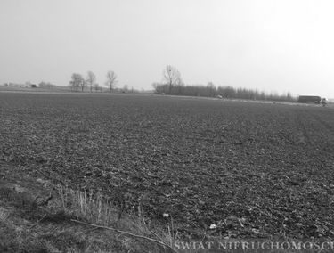 Zdjęcie 7614650